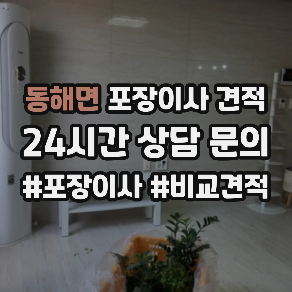 동해면 포장이사 견적 엘리베이터 유무로 문의 전 준비해야 할 정보