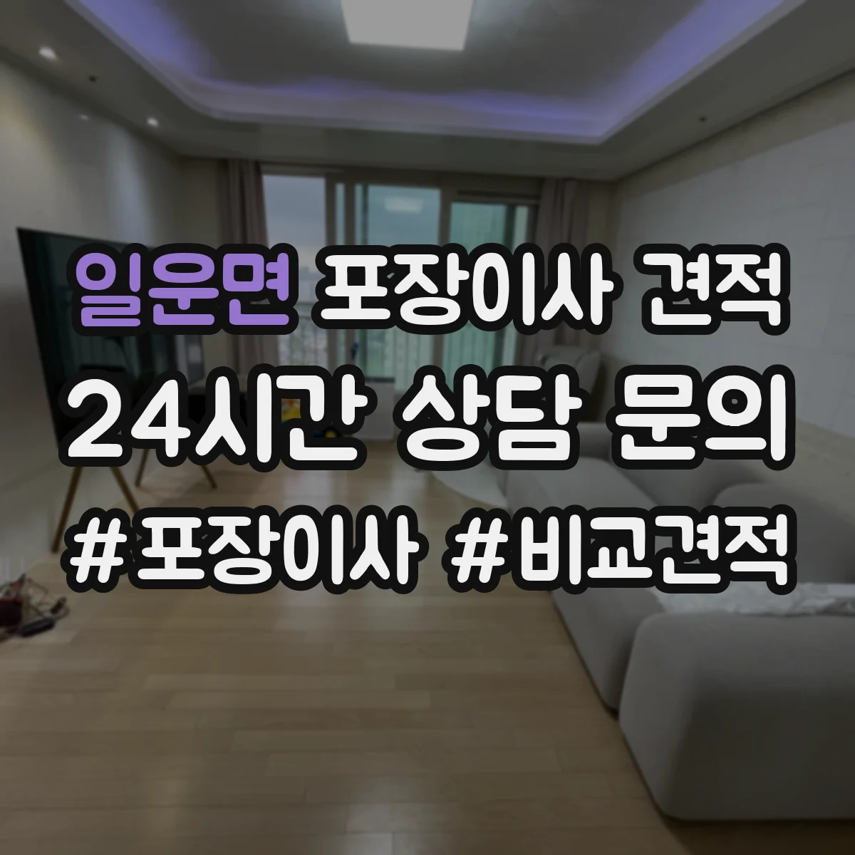 일운면 포장이사 견적 피아노 운송 보험 포함 여부와 가격