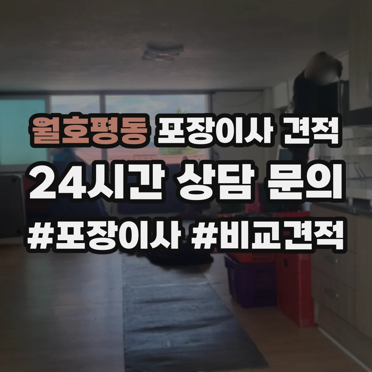 월호평동 포장이사 견적 빌라 저층은 어떻게 견적이 달라질까