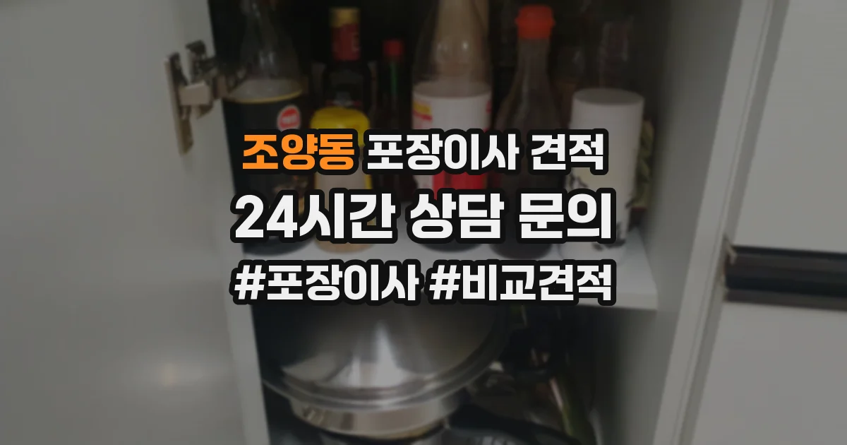 조양동 포장이사 견적