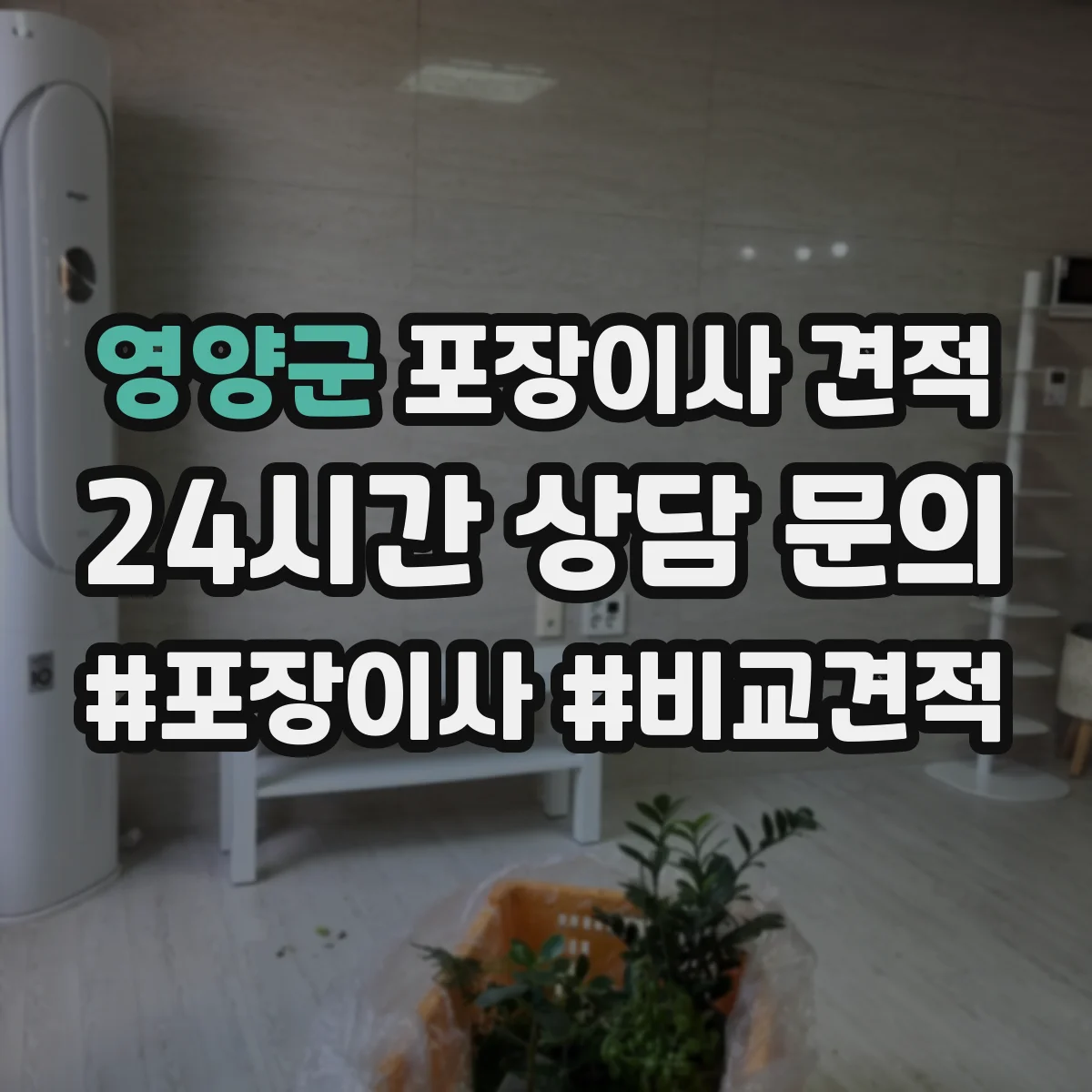 영양군 포장이사 견적