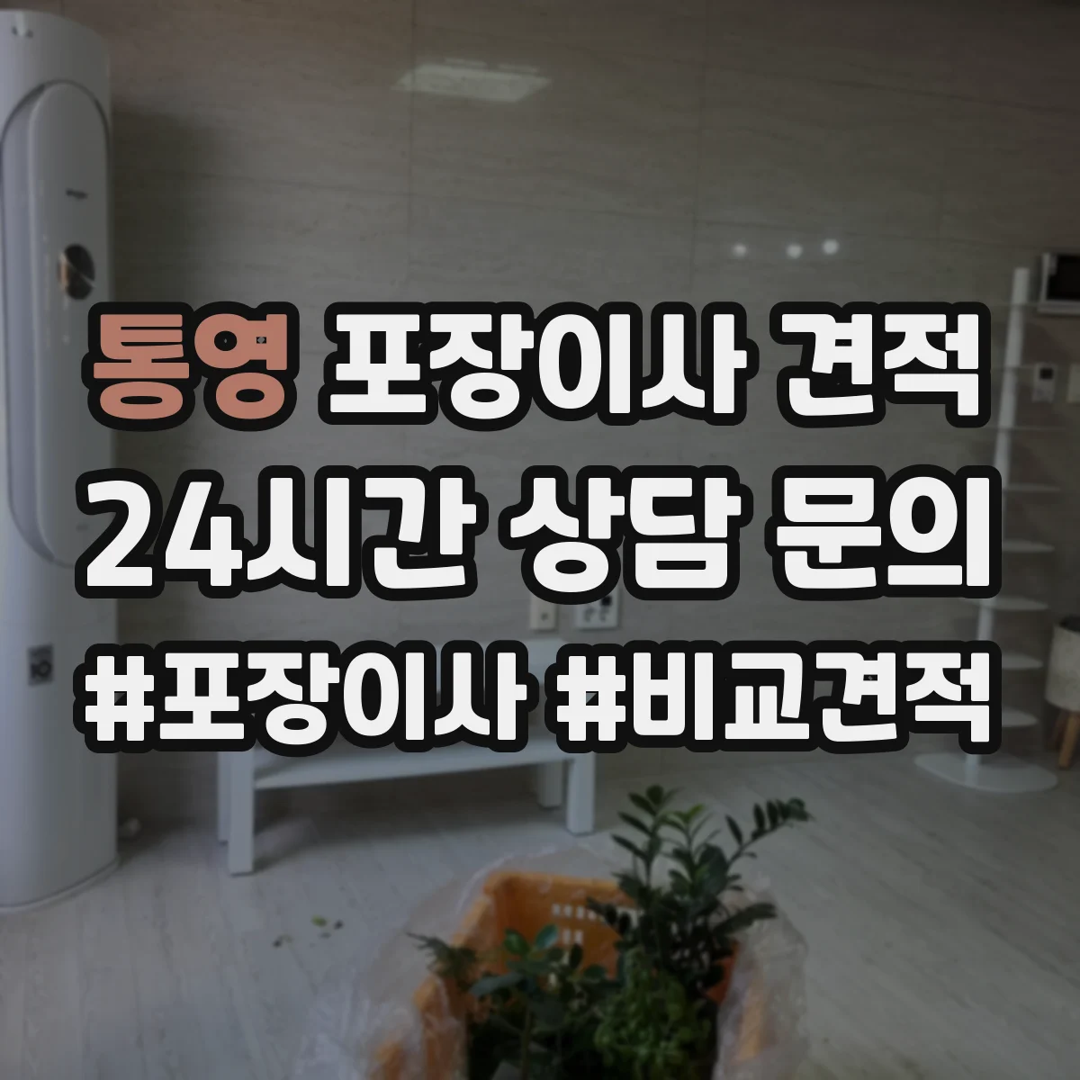 통영 포장이사 견적