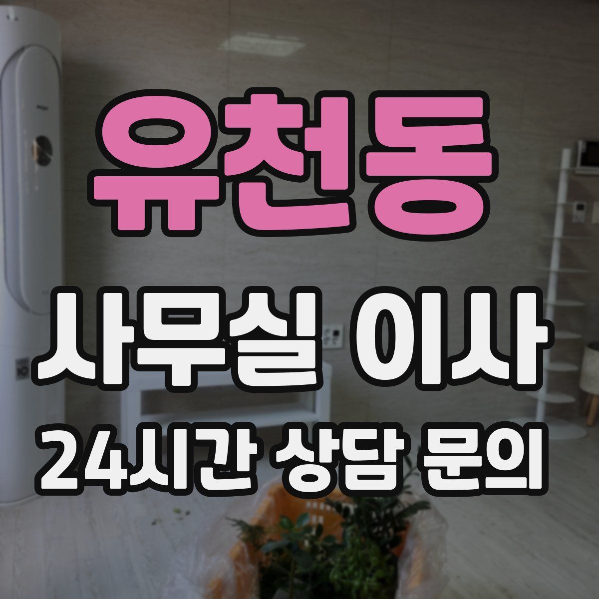 유천동 사무실 이사