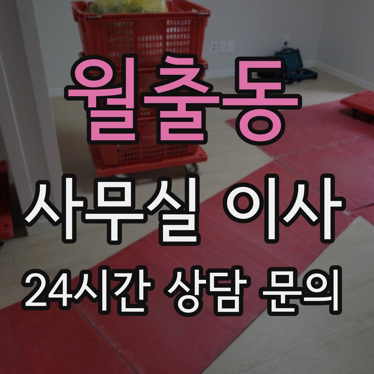 월출동 사무실 이사