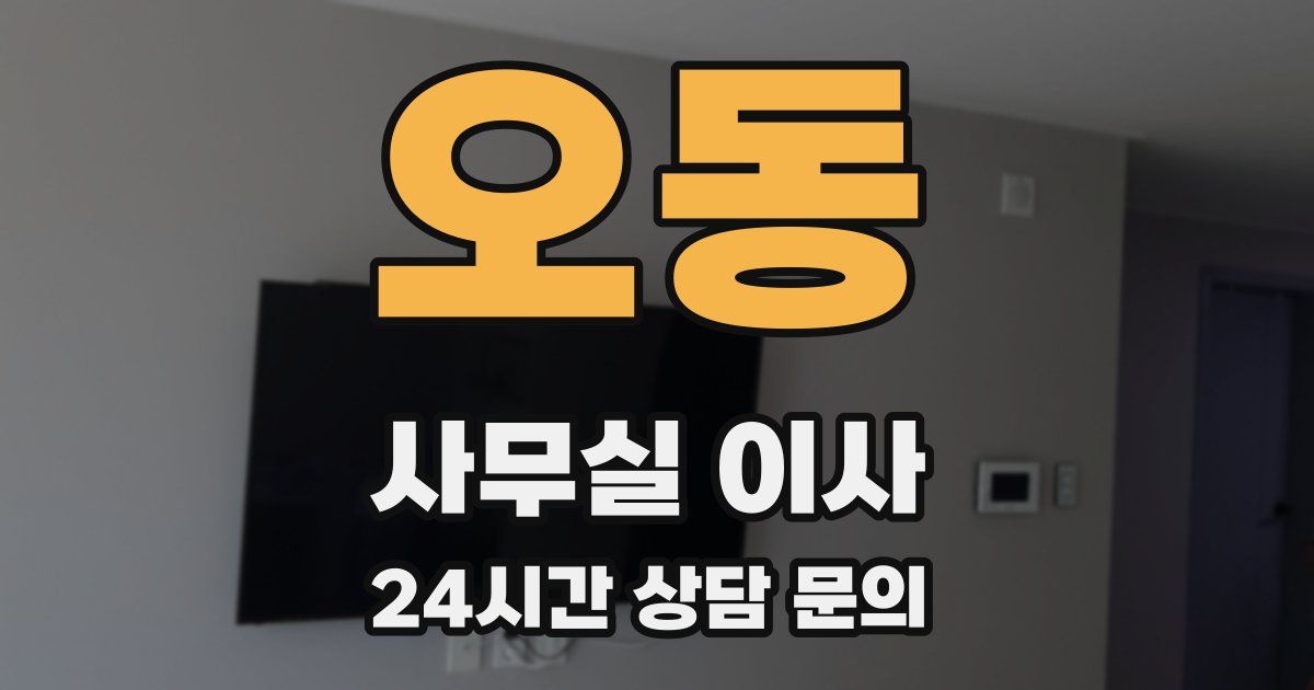 오동 사무실 이사