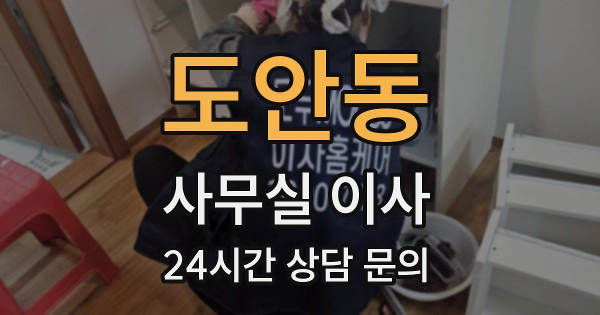 도안동 사무실 이사