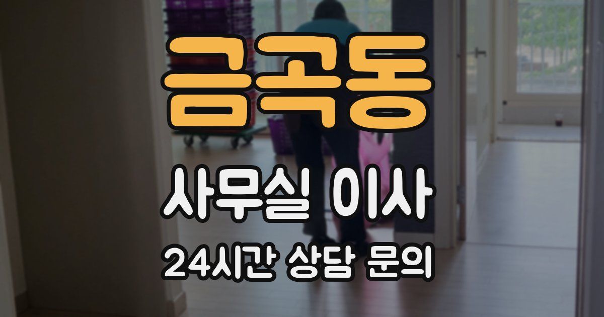 금곡동 사무실 이사