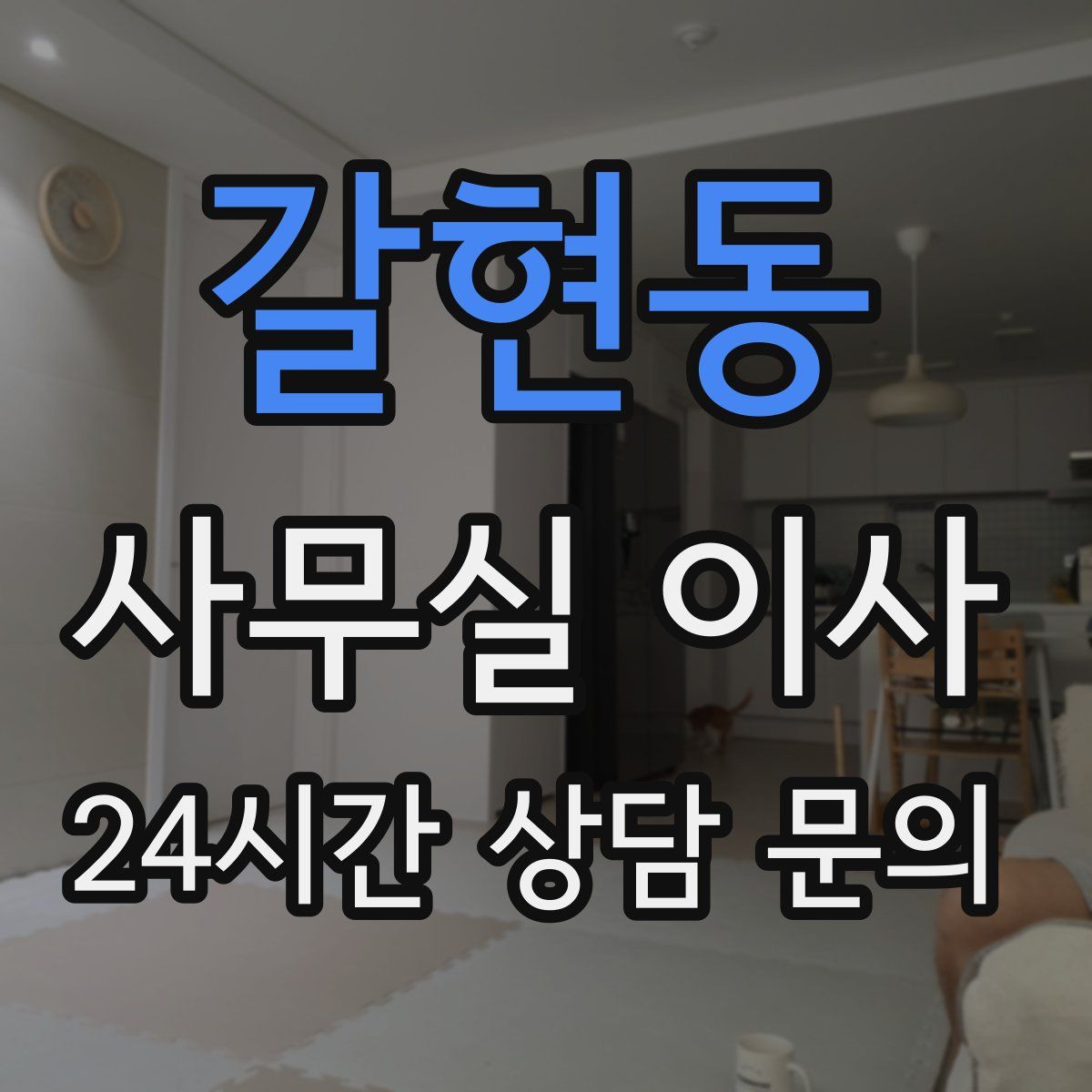 갈현동 사무실 이사