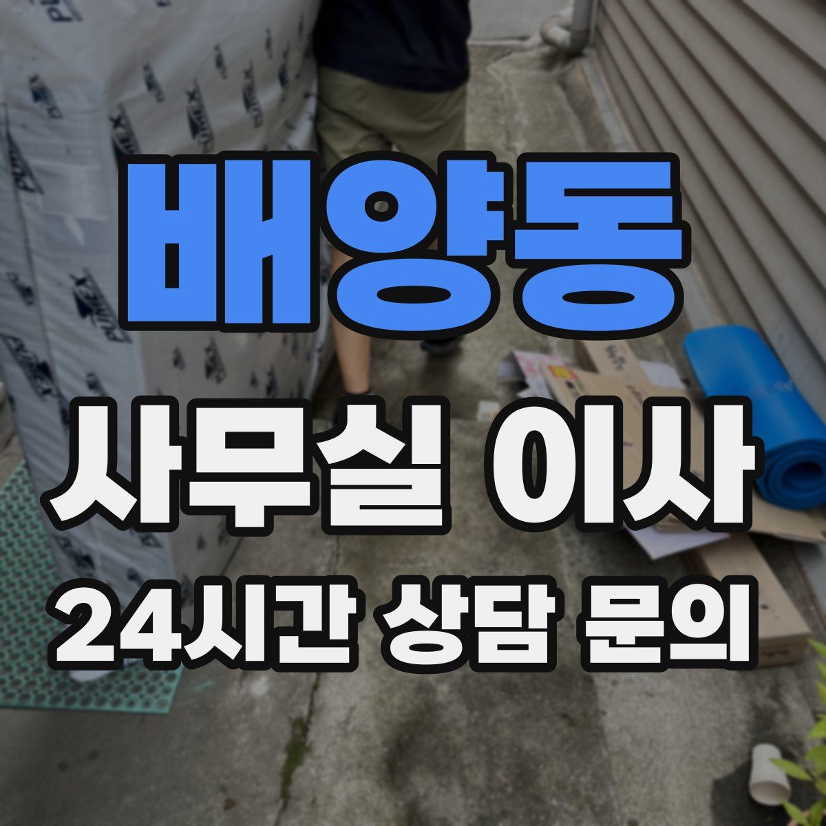 배양동 사무실 이사