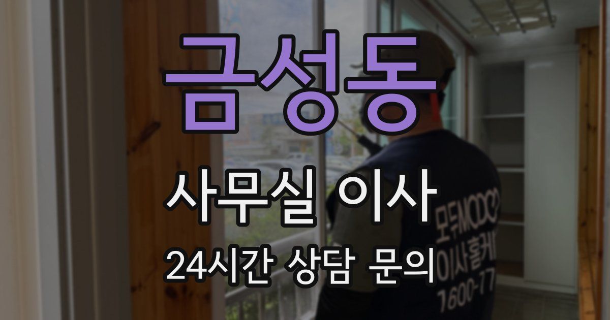 금성동 사무실 이사
