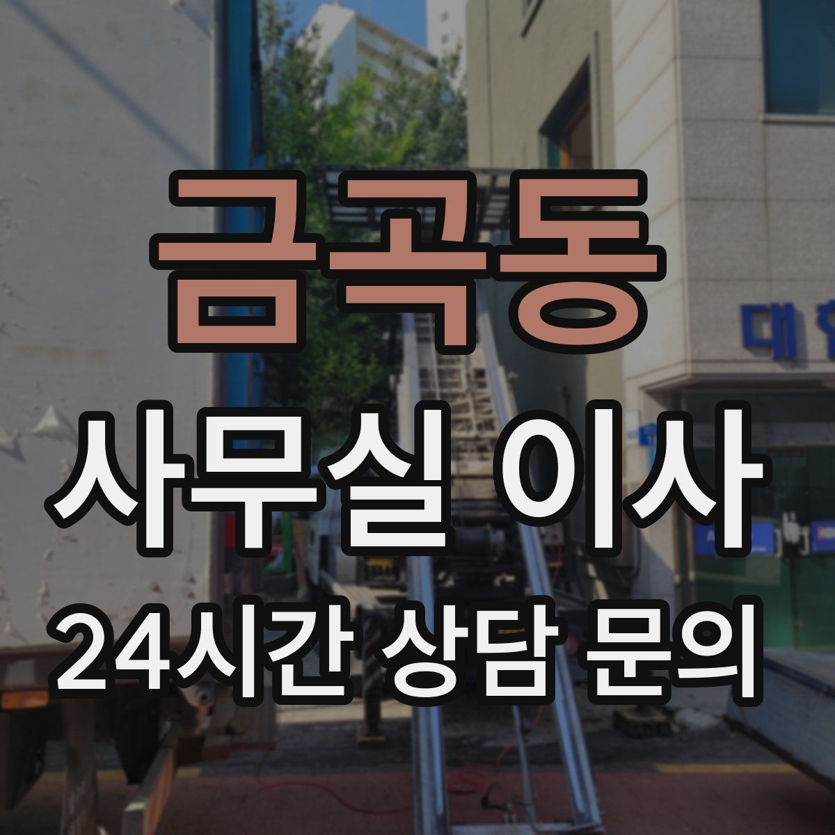 금곡동 사무실 이사