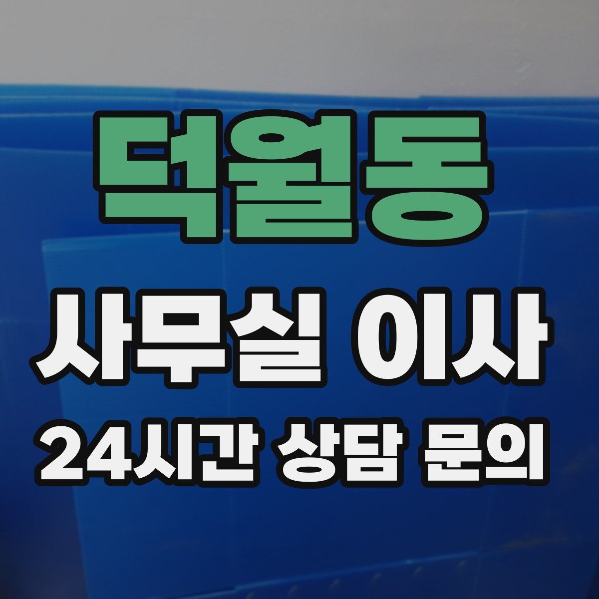 덕월동 사무실 이사