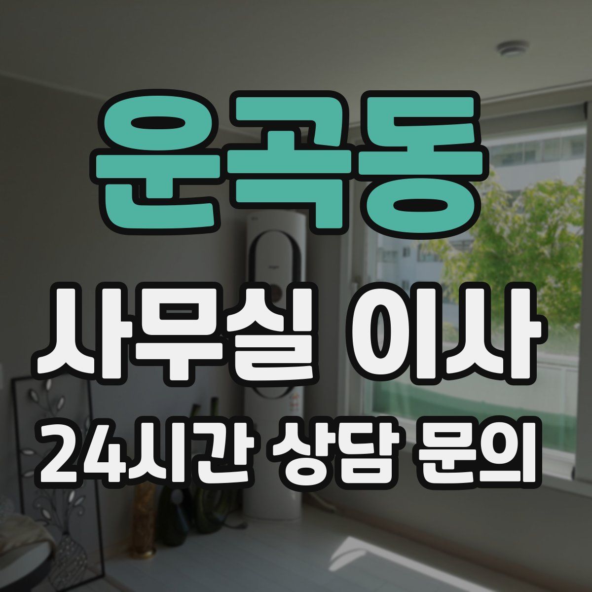 운곡동 사무실 이사