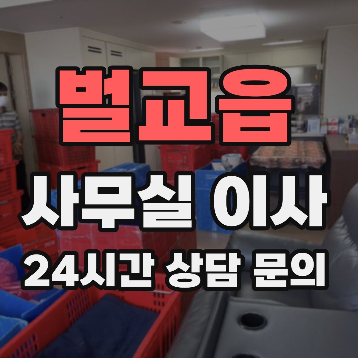 벌교읍 사무실 이사