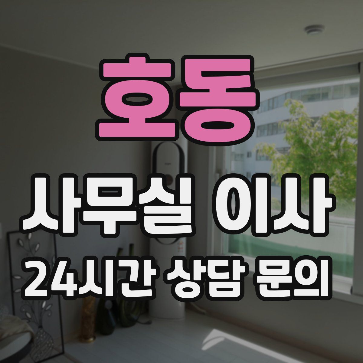 호동 사무실 이사