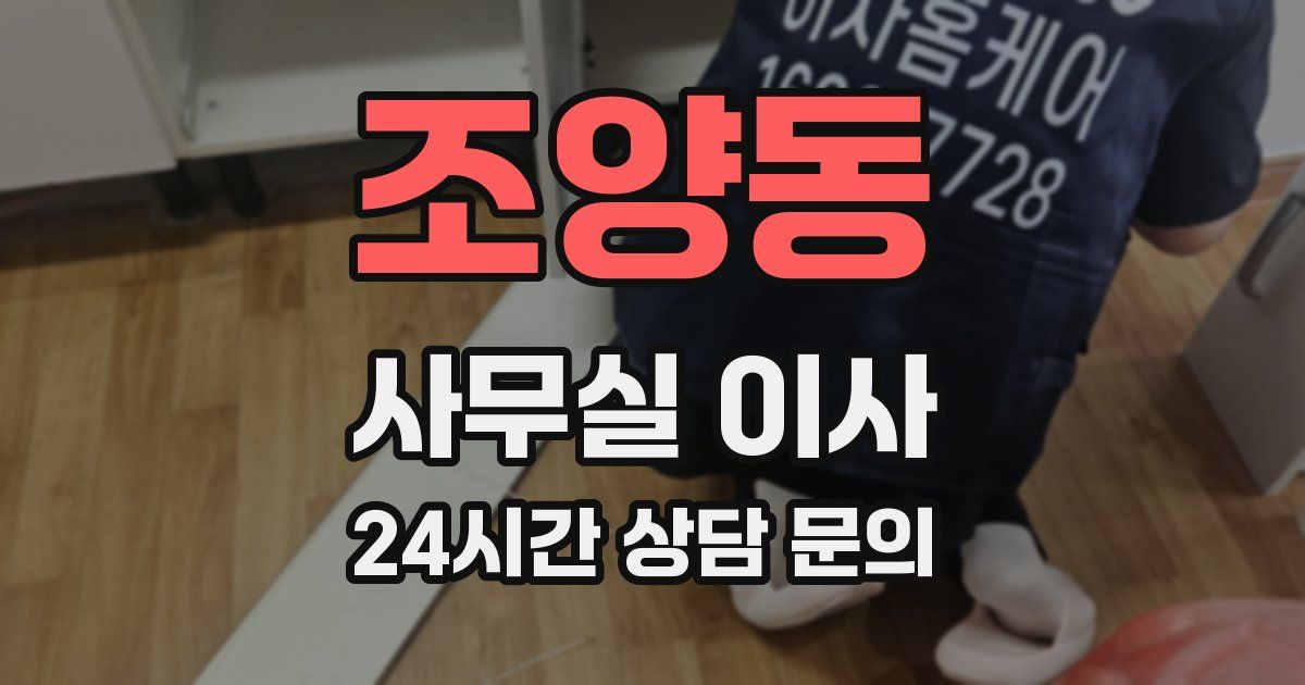 조양동 사무실 이사