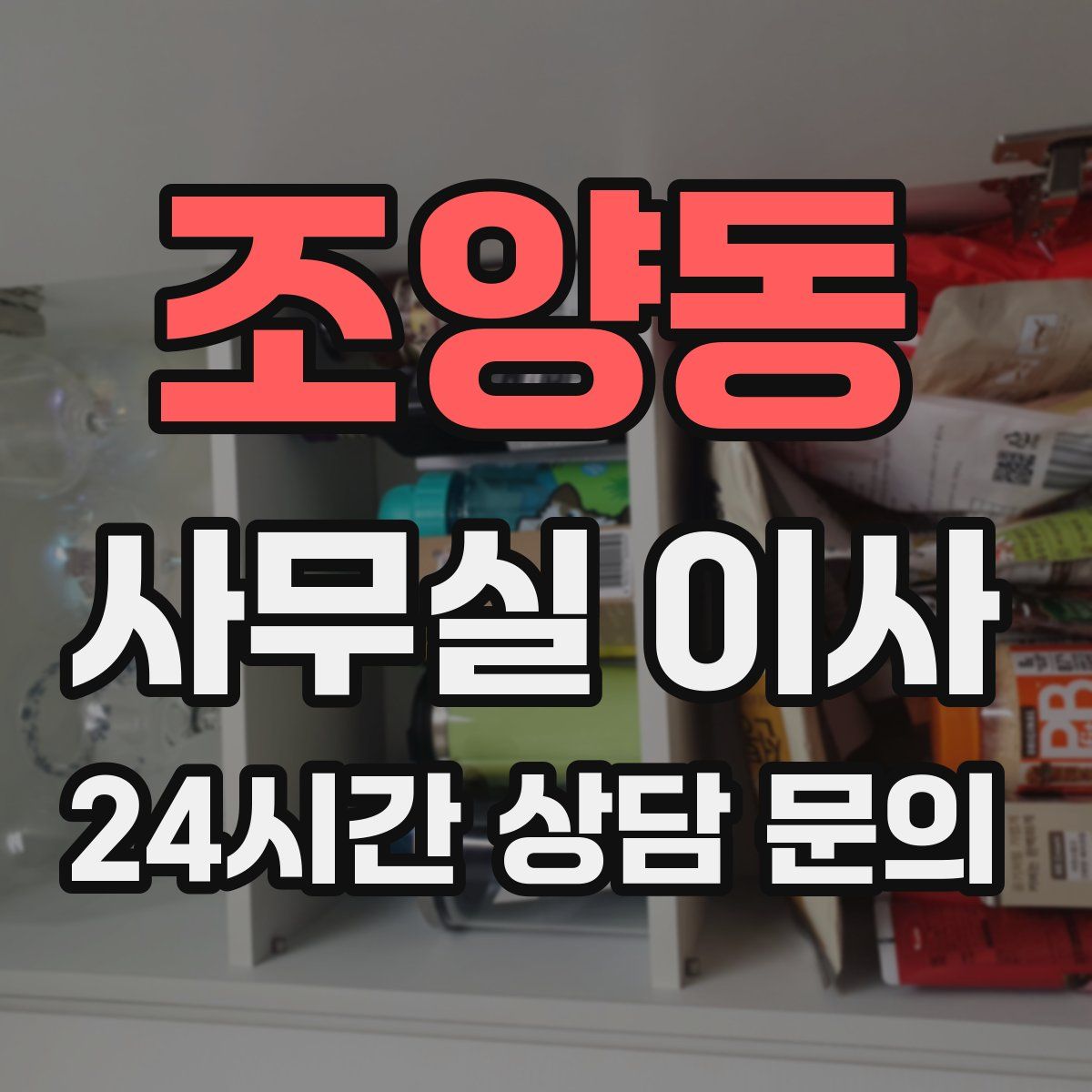 조양동 사무실 이사