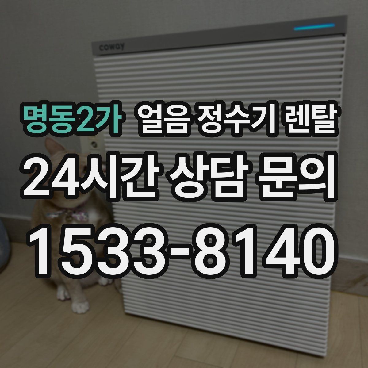 명동2가 얼음 정수기 렌탈 얼음봉지 사두는 습관을 줄이는 방법
