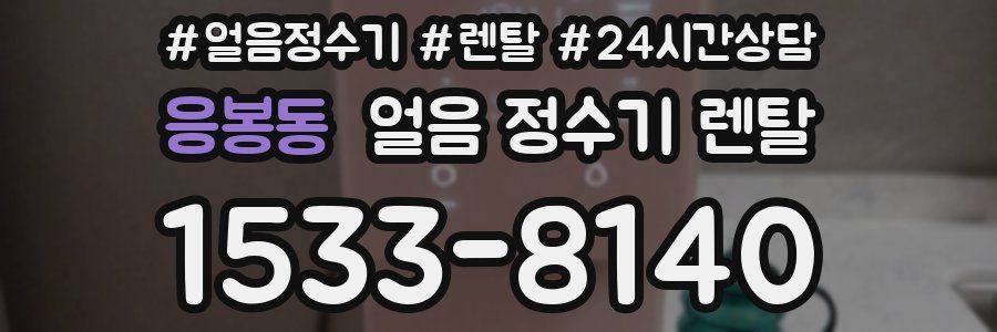 응봉동 얼음 정수기 렌탈