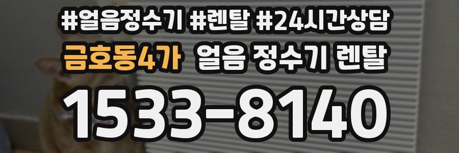 금호동4가 얼음 정수기 렌탈