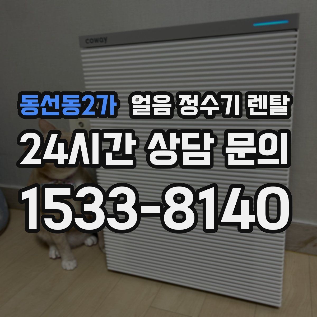 동선동2가 얼음 정수기 렌탈 사은품보다 중요한 건 위생 관리 조건