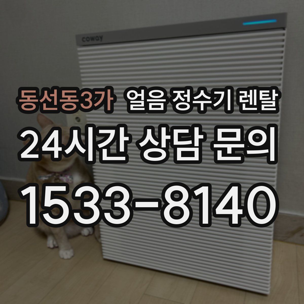 동선동3가 얼음 정수기 렌탈