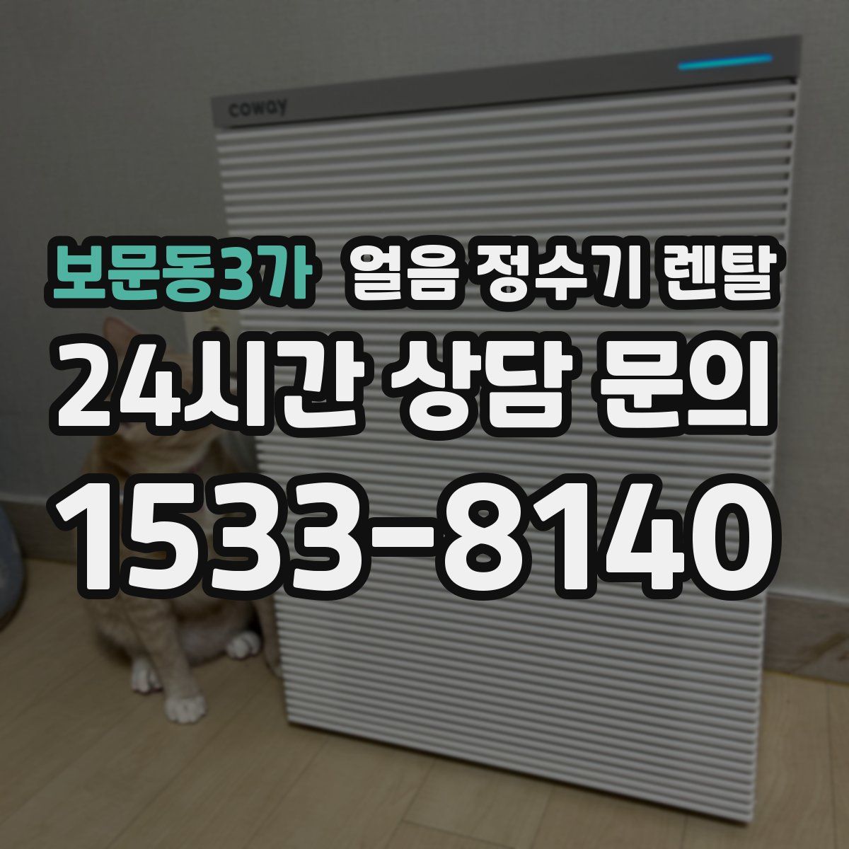 보문동3가 얼음 정수기 렌탈