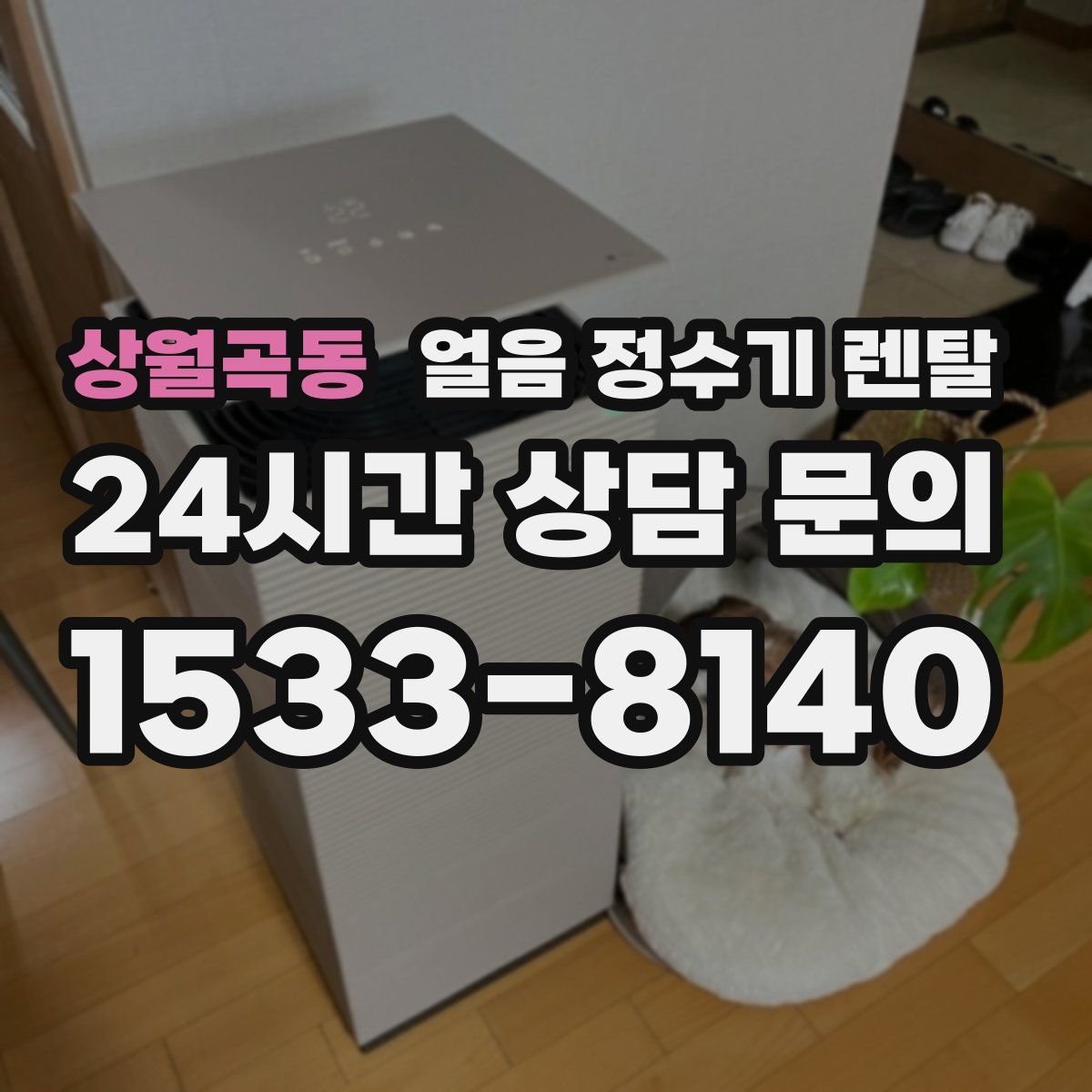 상월곡동 얼음 정수기 렌탈