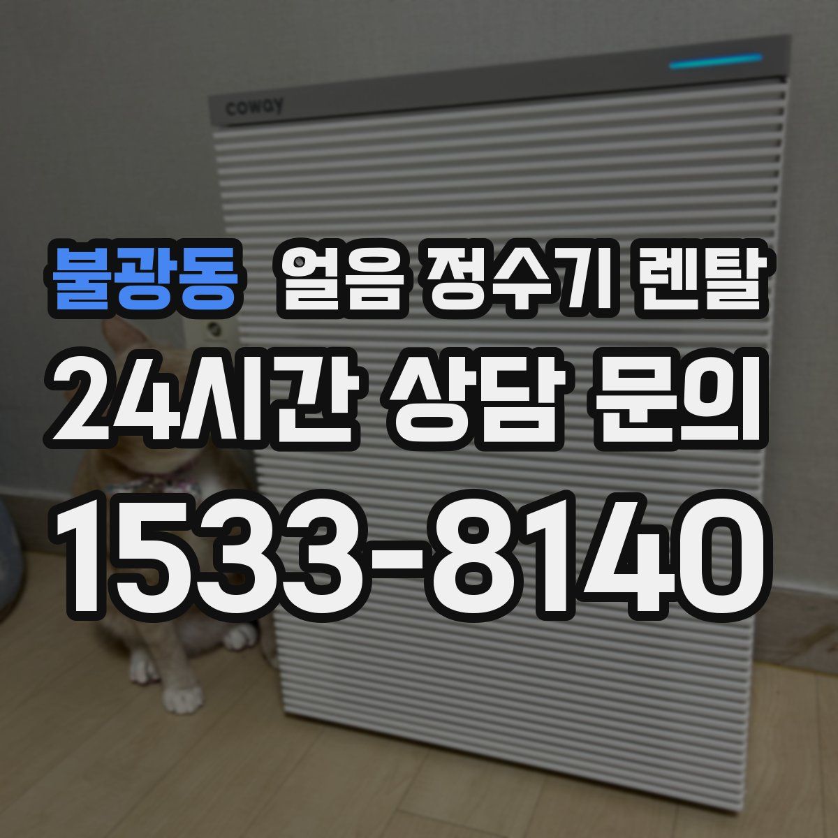 불광동 얼음 정수기 렌탈