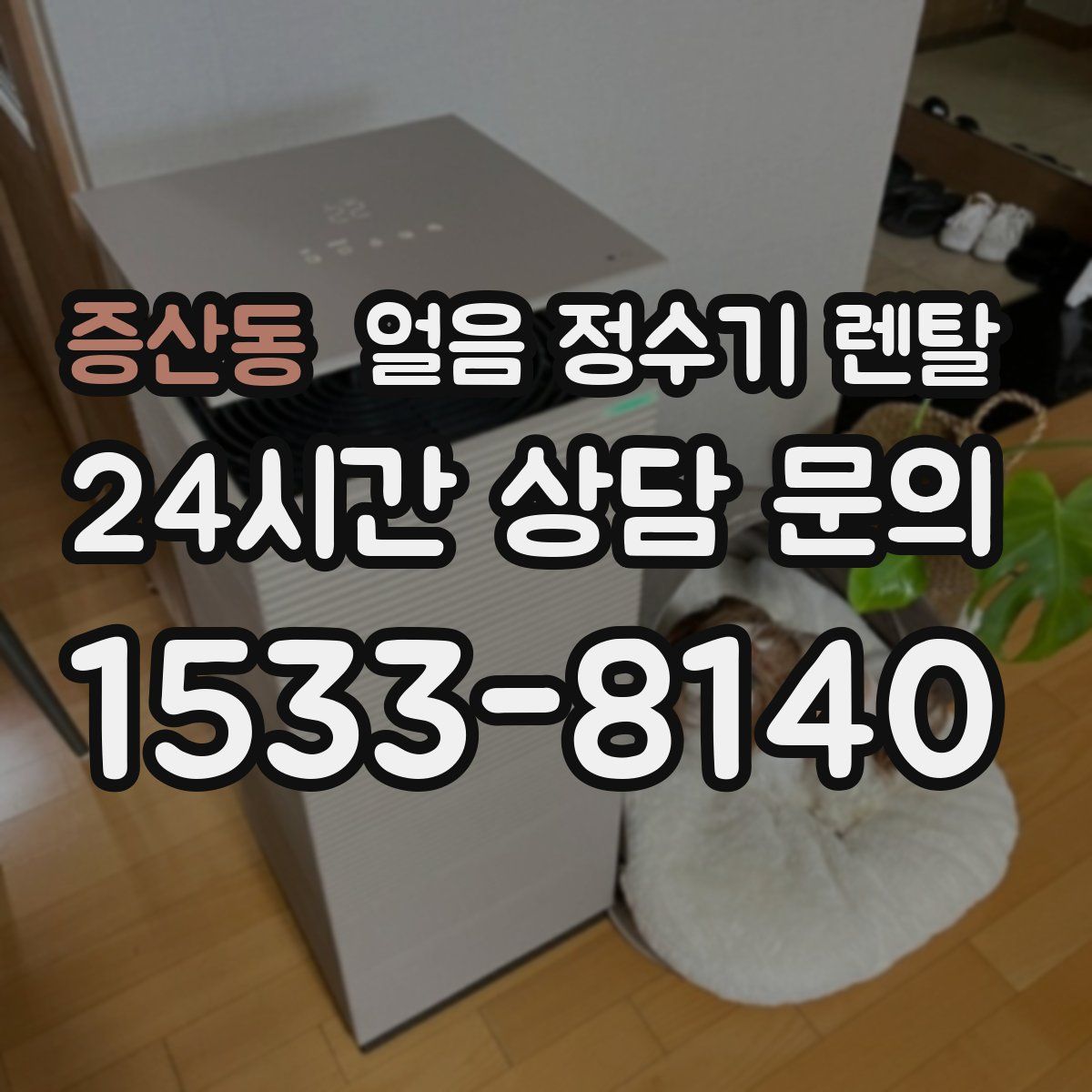 증산동 얼음 정수기 렌탈