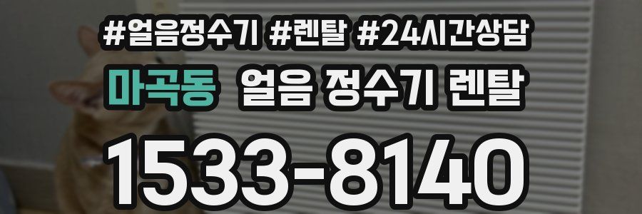 마곡동 얼음 정수기 렌탈