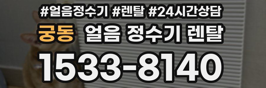 궁동 얼음 정수기 렌탈