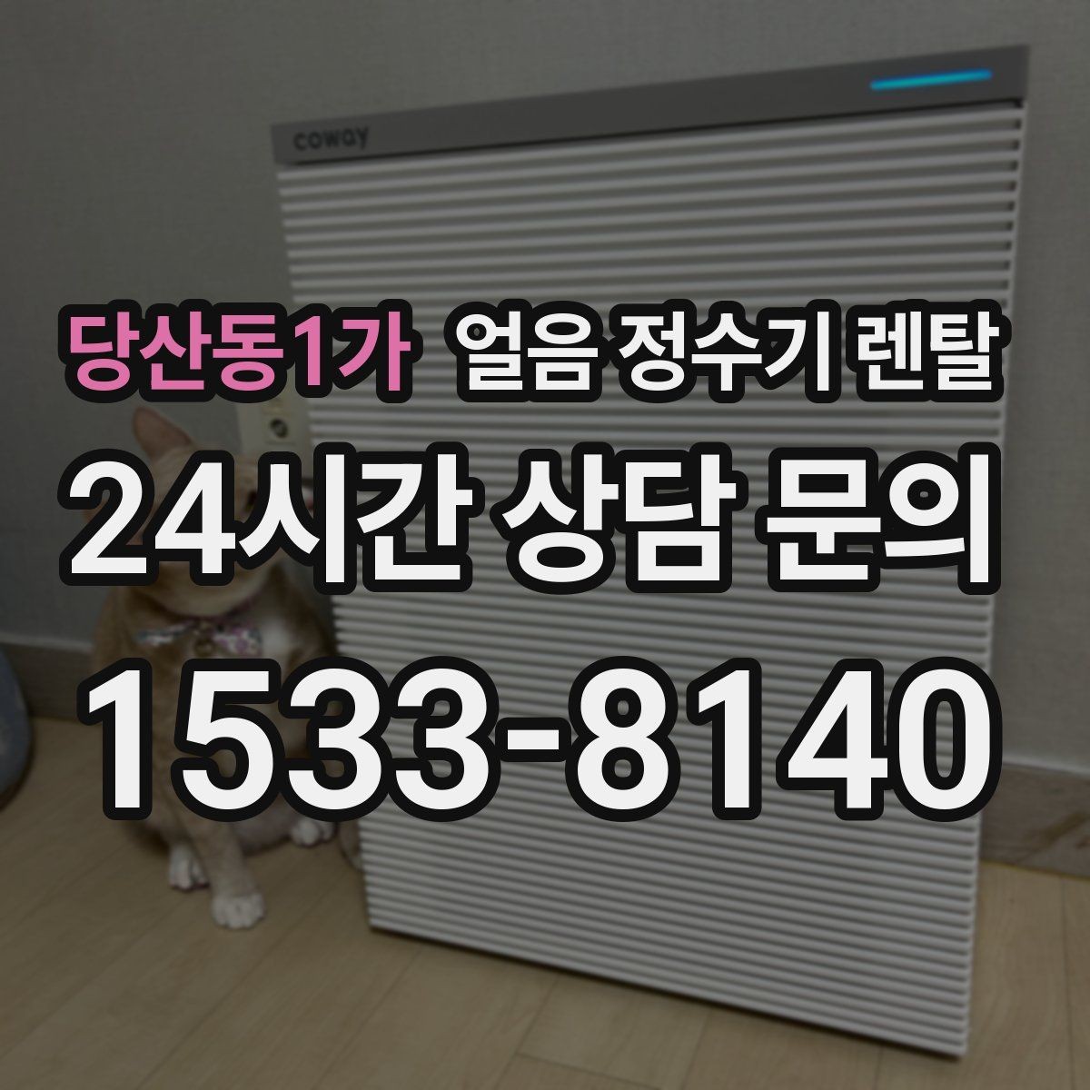 당산동1가 얼음 정수기 렌탈 버튼식 터치식 조작, 뭐가 더 편할까