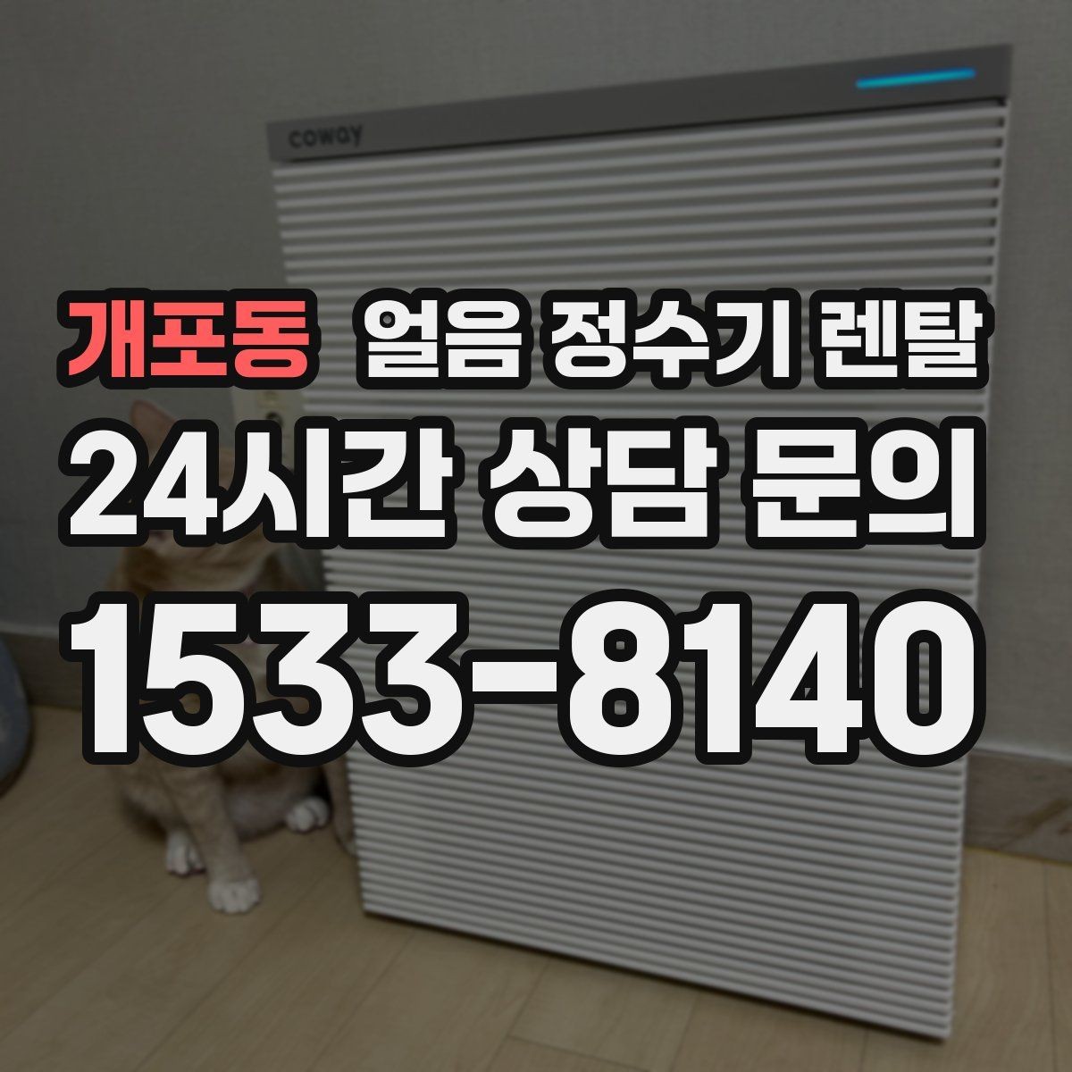 개포동 얼음 정수기 렌탈 위생 걱정 덜고 얼음을 쓰는 방법