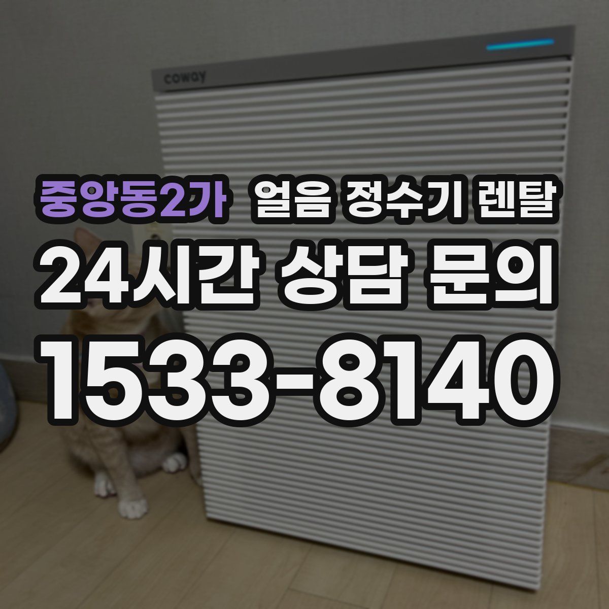 중앙동2가 얼음 정수기 렌탈