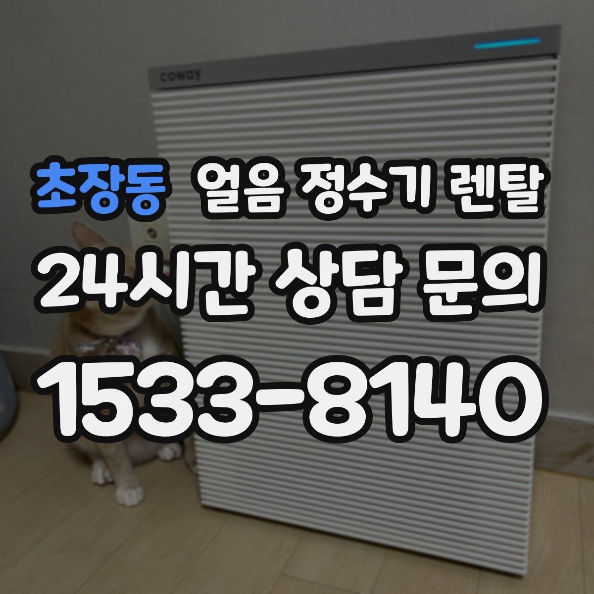 초장동 얼음 정수기 렌탈 주방이 좁을 때 설치 가능한 모델 고르기