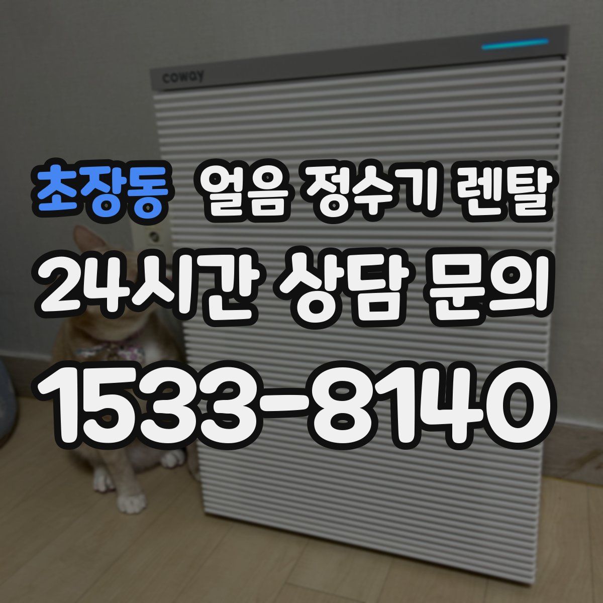 초장동 얼음 정수기 렌탈