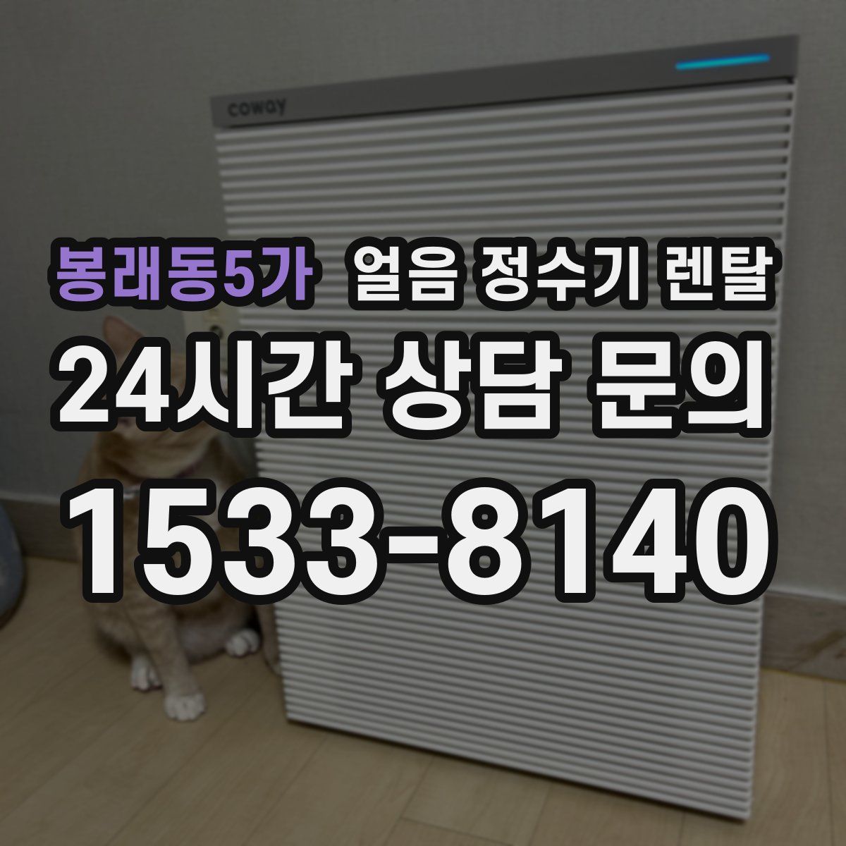 봉래동5가 얼음 정수기 렌탈