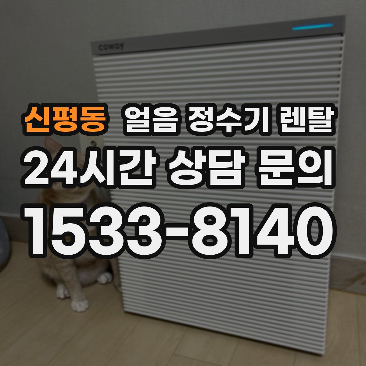 신평동 얼음 정수기 렌탈