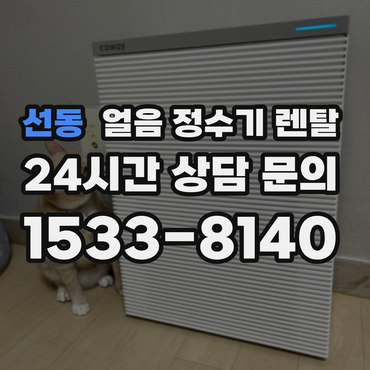 선동 얼음 정수기 렌탈