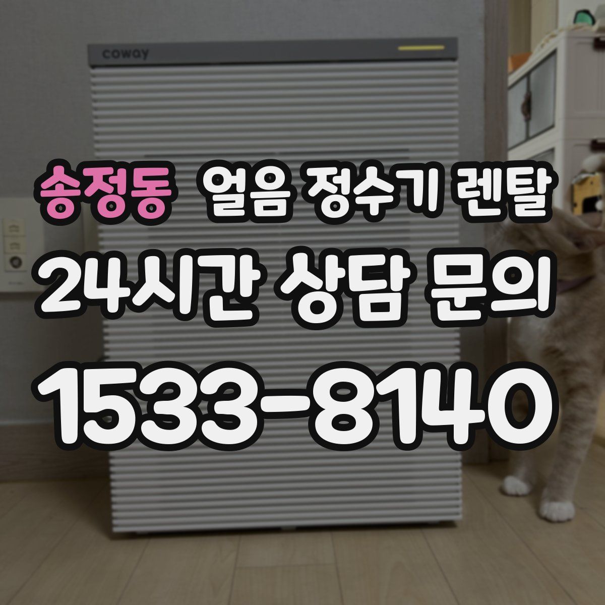 송정동 얼음 정수기 렌탈