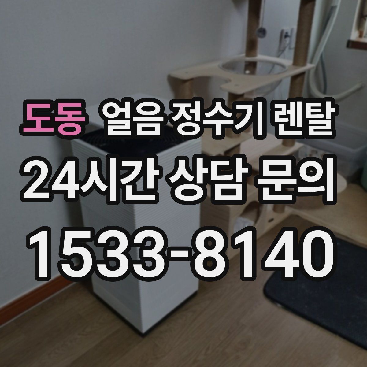 도동 얼음 정수기 렌탈