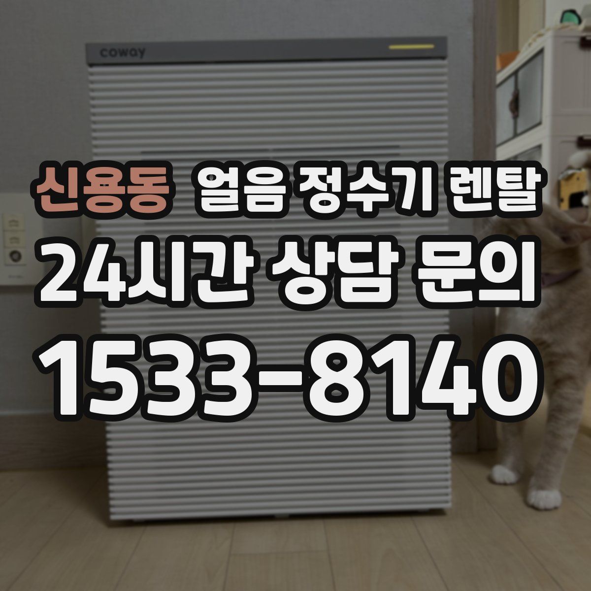 신용동 얼음 정수기 렌탈