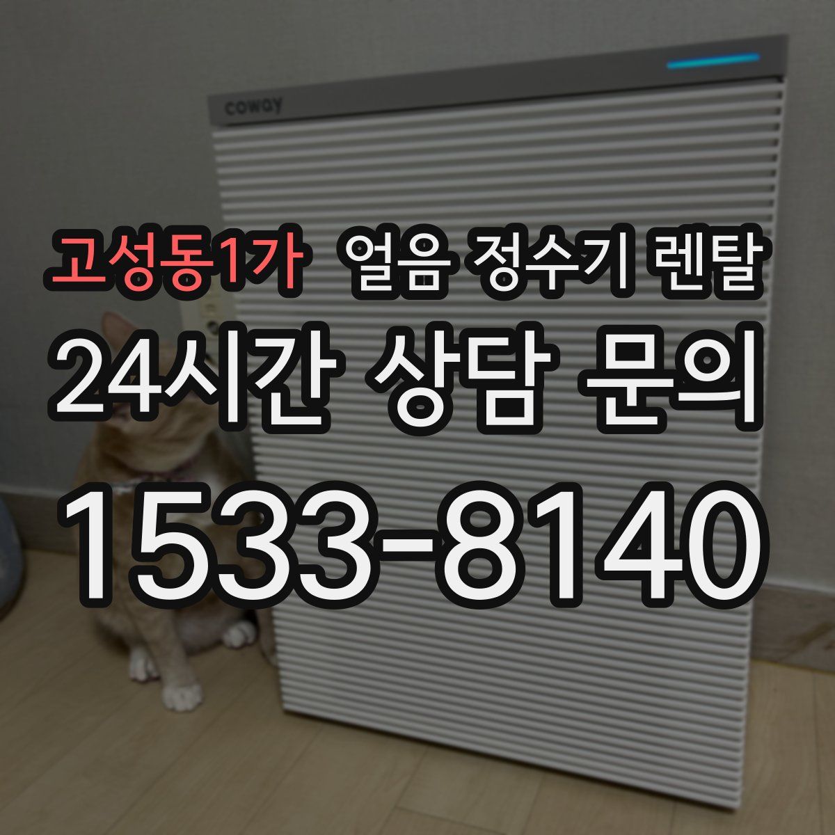 고성동1가 얼음 정수기 렌탈