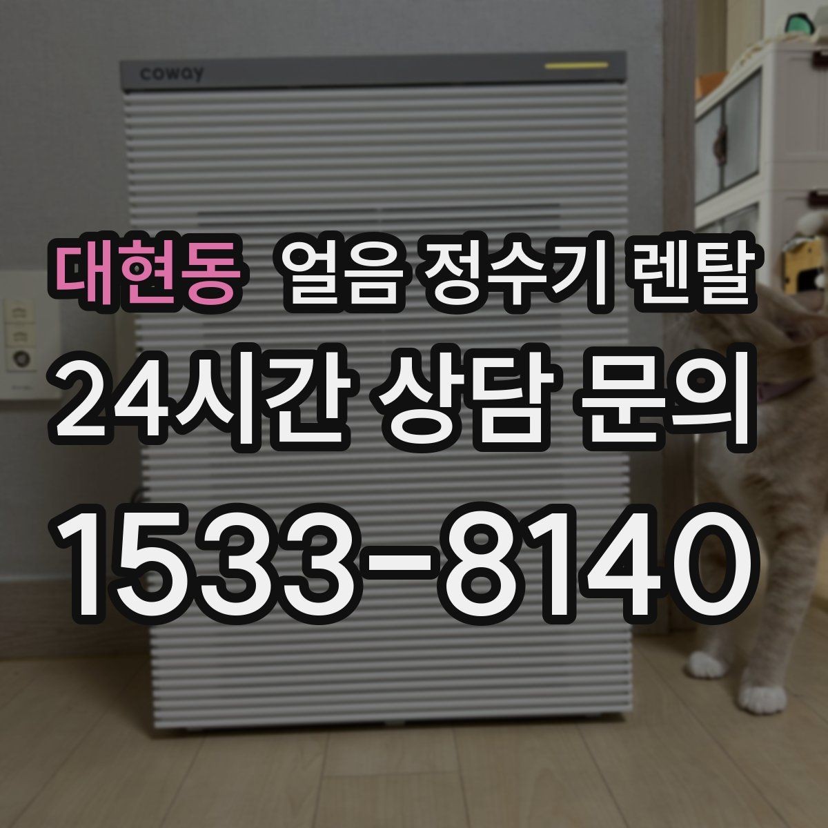 대현동 얼음 정수기 렌탈 손이 닿는 부위 위생이 중요한 이유