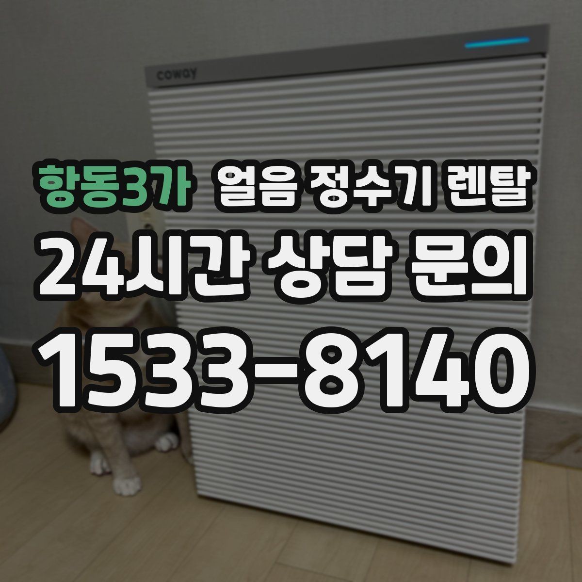 항동3가 얼음 정수기 렌탈 주방이 좁을 때 설치 가능한 모델 고르기