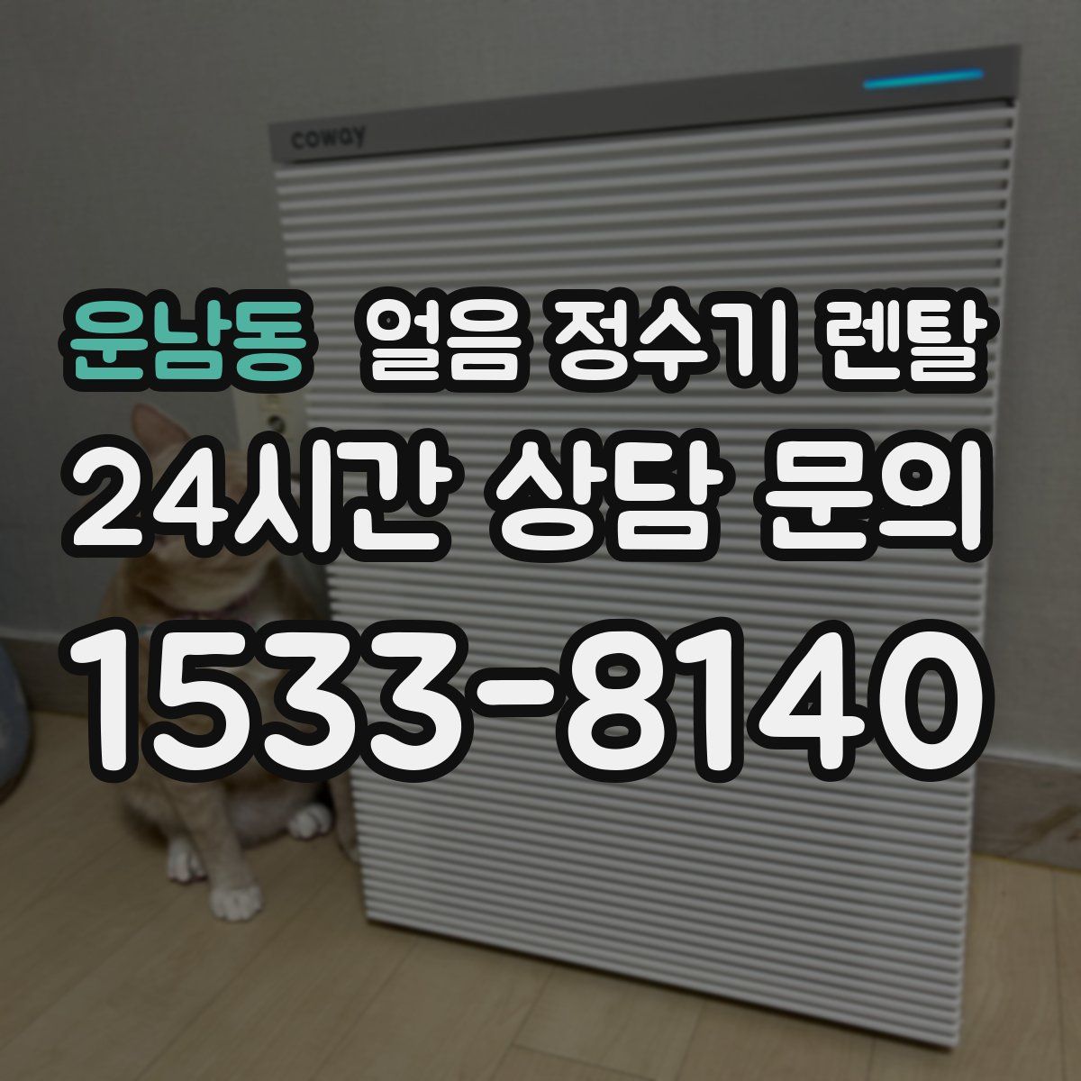 운남동 얼음 정수기 렌탈