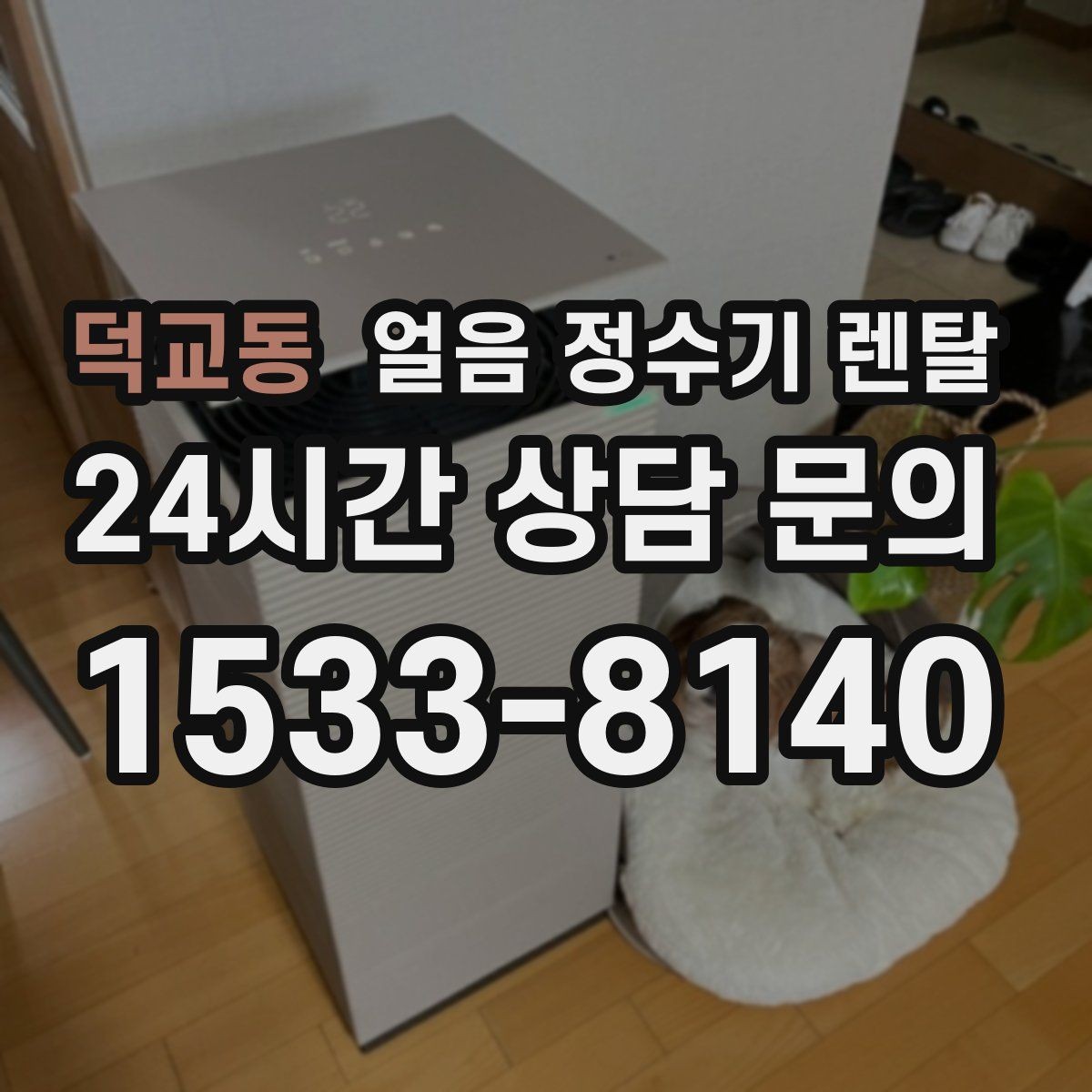 덕교동 얼음 정수기 렌탈 홈카페용으로 만족도 높은 옵션 정리