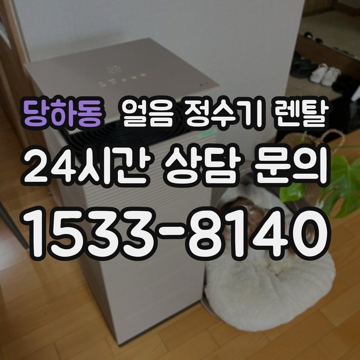 당하동 얼음 정수기 렌탈 손님 올 때 얼음 걱정 없는 집 만들기