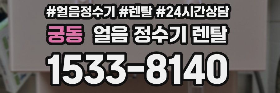 궁동 얼음 정수기 렌탈